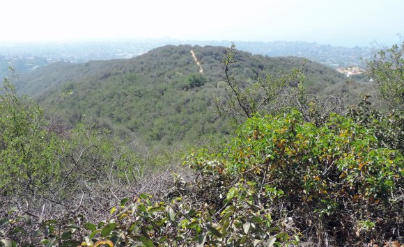 09 view