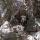 28 nate hannah