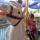 01 21 carousel devan