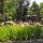 08 17 canoes cabin