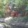 08 17 canoes indians