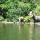 08 17 canoes moose