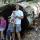 73 tree hannah benjamin joel nate
