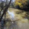 03 hog creek