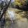 03 hog creek