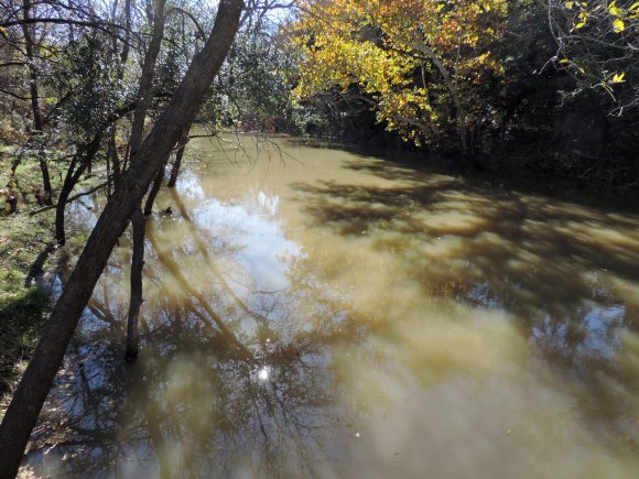03 hog creek