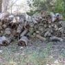 14 wood