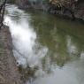 20 hog creek