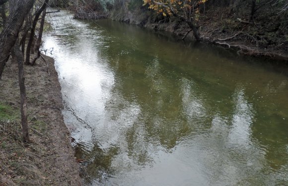 20 hog creek