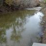 21 hog creek