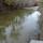21 hog creek