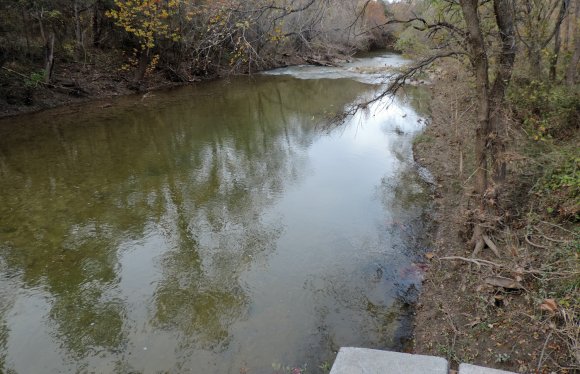 21 hog creek