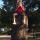 07 tree hannah nate