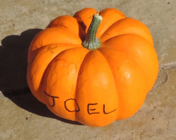 joel