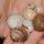 09 snail shells