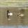 13 ducks