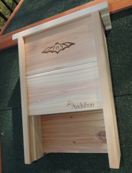 18 batbox