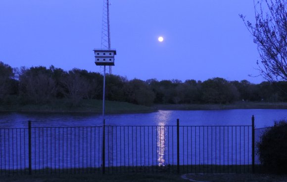 34 moon