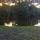 49 deer crossing2