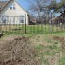05 new trees