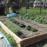 06 garden