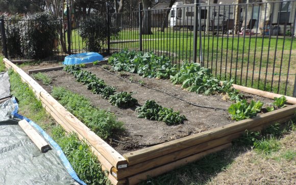 06 garden
