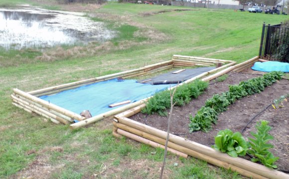 11 new bed