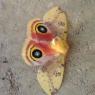 45 moth