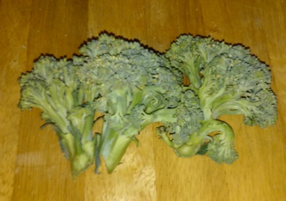 55 brocolli