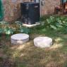 56 pumpkins