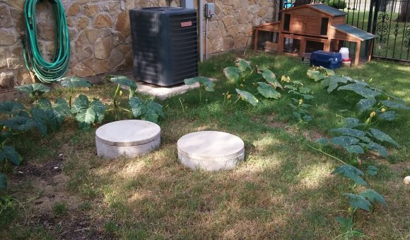 56 pumpkins