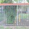 74 new coop