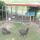 75 new coop