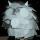 06 cat pinata