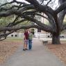 08 century tree
