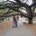 08 century tree