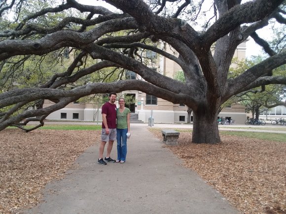 08 century tree