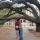 09 century tree