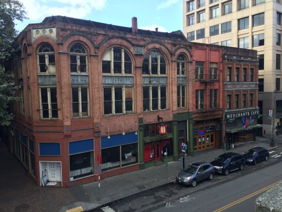 fake owl building