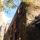 tree growing out of wall