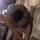 wooden sewer lines
