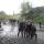 group (2)