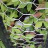 21 hidden nest