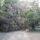 09 tree down3