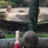 09 zoo