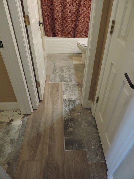 guest bath (2)