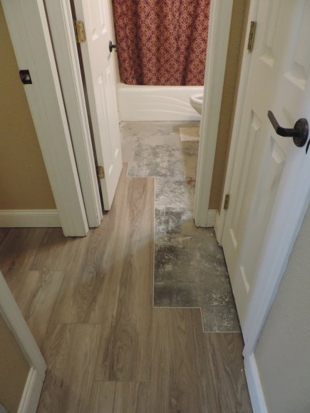 guest bath (3)