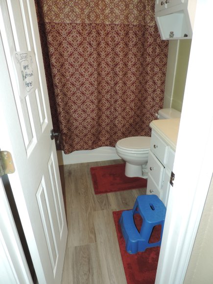 guest bath (4)