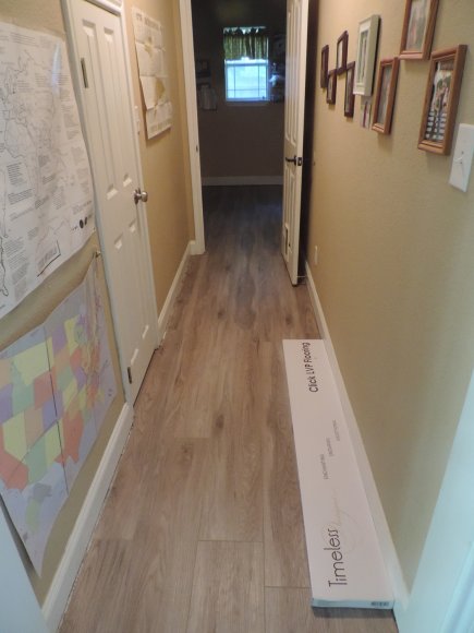 hall (3)