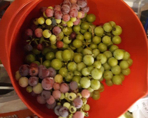 grapes2